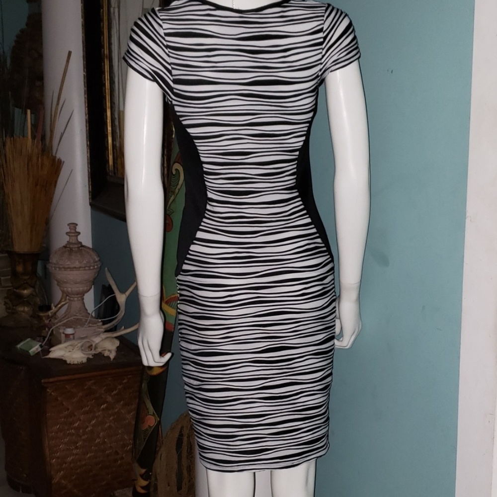 Dress - Picture 3 of 4